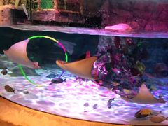 -沈阳海洋探索中心