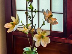 -上海孙中山故居纪念馆