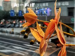 景观位-和一料理(安阳店)