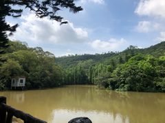 -滴水岩森林公园