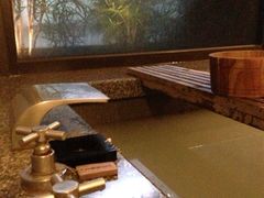 -台北北投丽禧温泉酒店