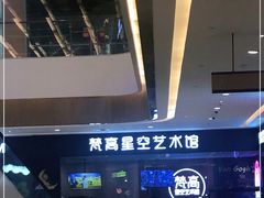 -天津梵高星空艺术馆(天河城旗舰店)