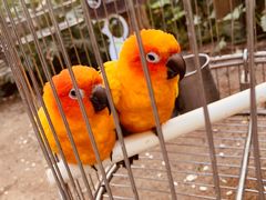 -南宫五洲植物乐园