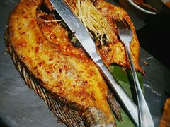 香茅草烤罗非鱼-云海肴·汽锅鸡·云南菜(天津国金汇店)