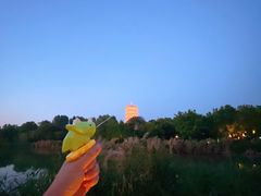 -Supine Bistro溯泮餐厅