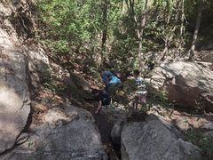 -大岭沟猕猴桃谷风景区