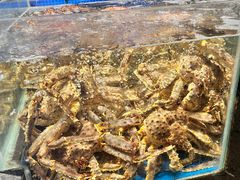 -徐记海鲜(大明宫|北二环店)