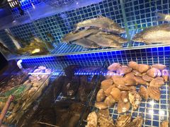 -必点海鲜·鲅鱼水饺(鞍山西道店)