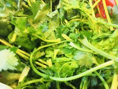 香菜-长顺花江狗肉牛羊肉馆(五一广场店)