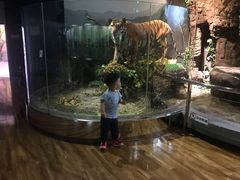 -陕西自然博物馆