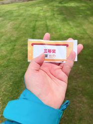 -前小桔亲子创意农场·草莓采摘·露营烧烤