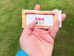 -前小桔亲子创意农场·草莓采摘·露营烧烤