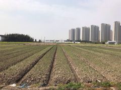 -小鱼草莓采摘园农家乐·小鱼餐厅