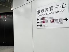 -东方体育中心(地铁站)