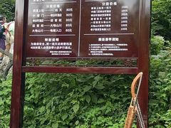 -恩施大峡谷