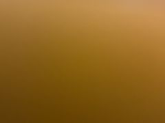 -鸿顺老铁锅美蛙鱼府(解放碑店)