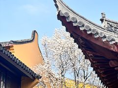 -龙华寺