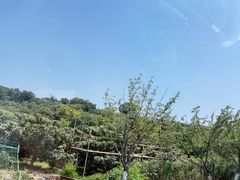 -东山风景区(洞庭东山)