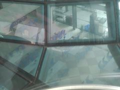 -上海人才大厦