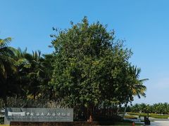 -中国（海南）南海博物馆
