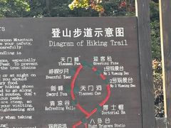 -大连天门山国家森林公园