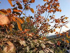 -香山公园-东宫门售票处
