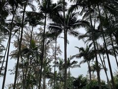 -北海市海滨公园