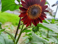 -临平南高铁站(地铁站)