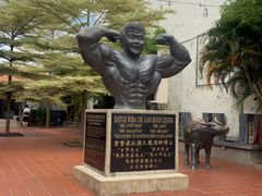 -马六甲鸡场街