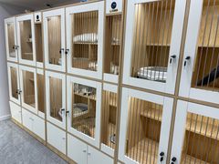 -爱洗澡的猫(天河路店)