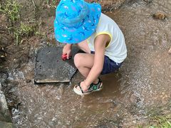 -沈阳辉山风景区