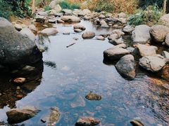 -梧桐山风景名胜区