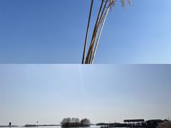 -苏州太湖湖滨国家湿地公园
