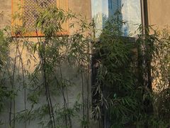 -谷咖啡·鲜花绿植花园餐厅