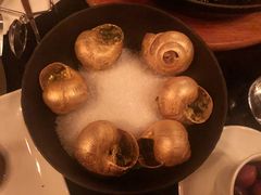 -金蜗牛