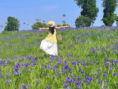 -白鹭湾湿地公园