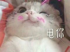 -鲜芋仙(太原街万达店)