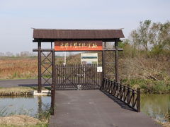 -上海长兴岛郊野公园