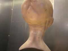 -drivepro(三里屯店)