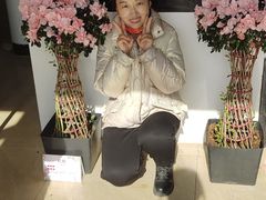 -石家庄市植物园
