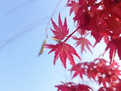 -艾溪湖湿地公园