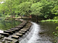 -阿哈湖国家湿地公园