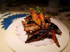 口水茄子-勒马听风(洛邑古城店)