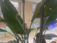 -旺顺阁鱼头泡饼(常营店)