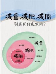 -Fundi张玉珊修身堂·indiba·BTL科技瘦身