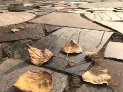 -西南政法大学(渝北校区)