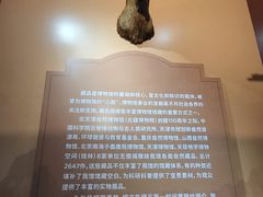 -天津自然博物馆