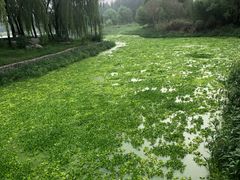 -秀水公园