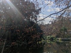 -阿哈湖国家湿地公园