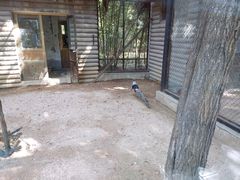 -石家庄市动物园